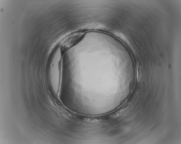 X0000060580531200512011735