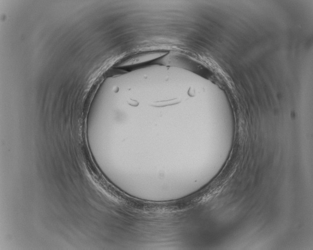 X0000060580533200512011735