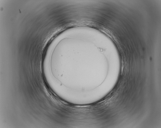 X0000060580534200512011735