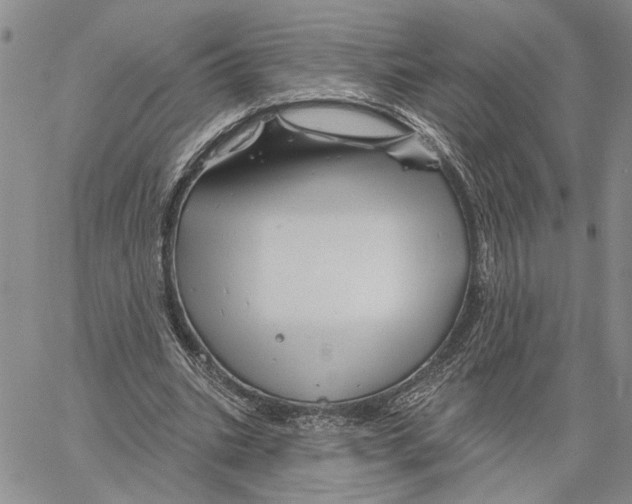 X0000060580535200512011735