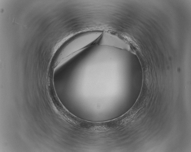 X0000060580536200512011735