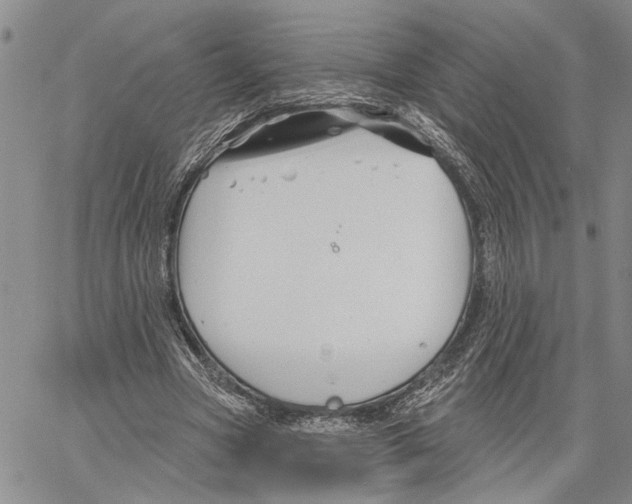 X0000060580537200512011735