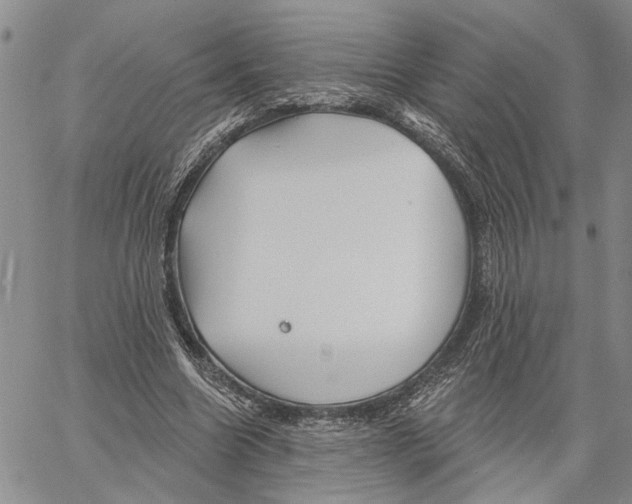 X0000060580538200512011735