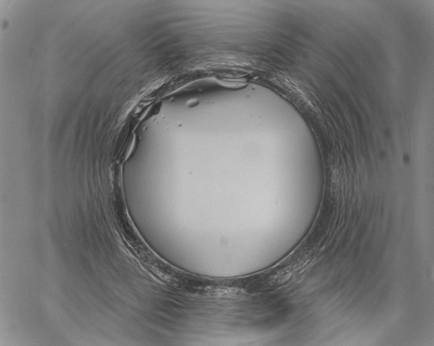 X0000060580539200512011735