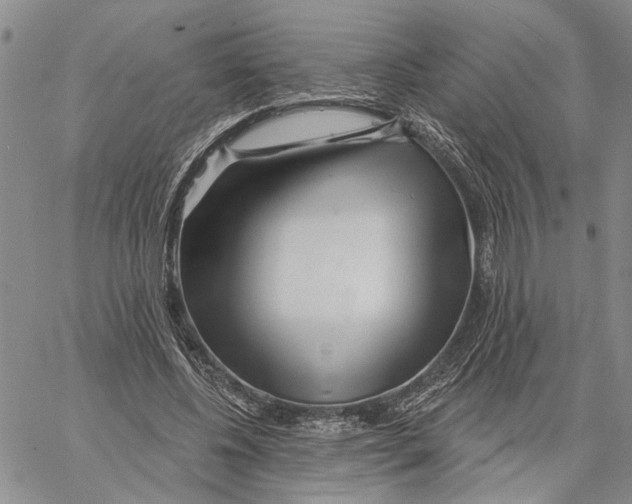 X0000060580540200512011735