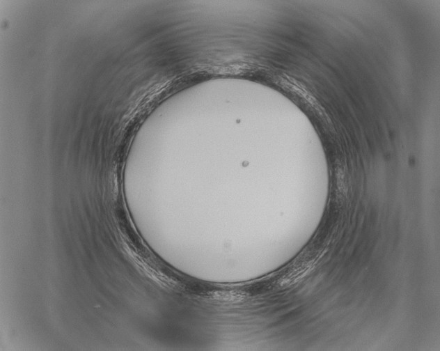 X0000060580541200512011735