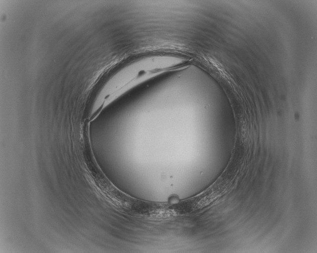 X0000060580543200512011735