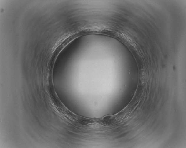 X0000060580544200512011735