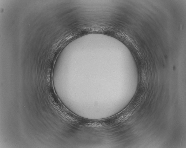 X0000060580545200512011735