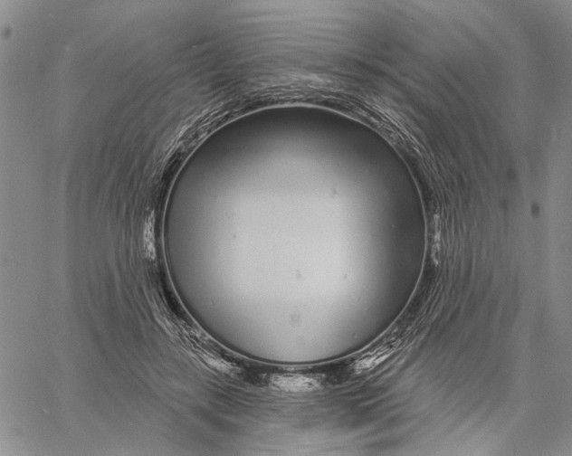 X0000060580547200512011735