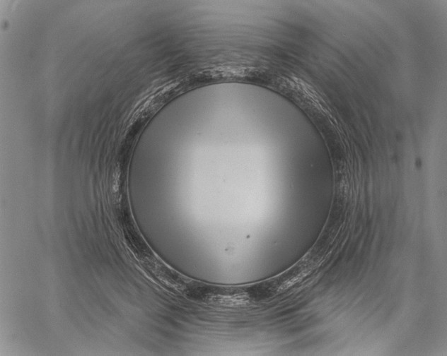 X0000060580548200512011735