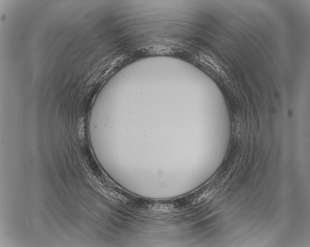 X0000060580549200512011735