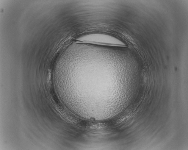 X0000060580550200512011735