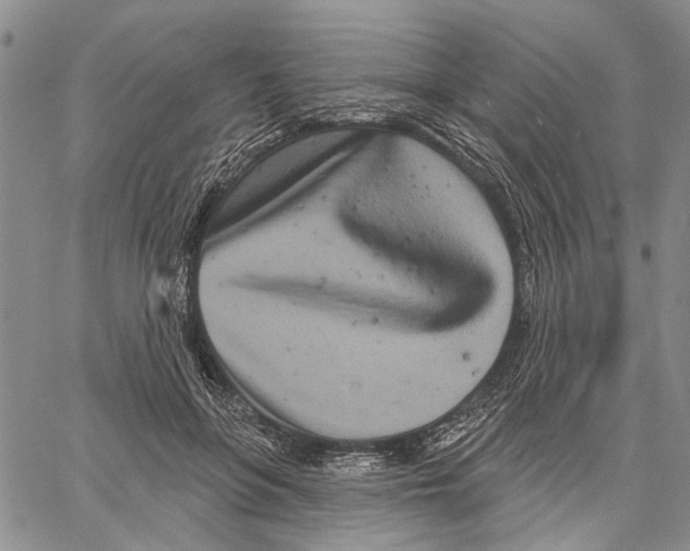 X0000060580551200512011735