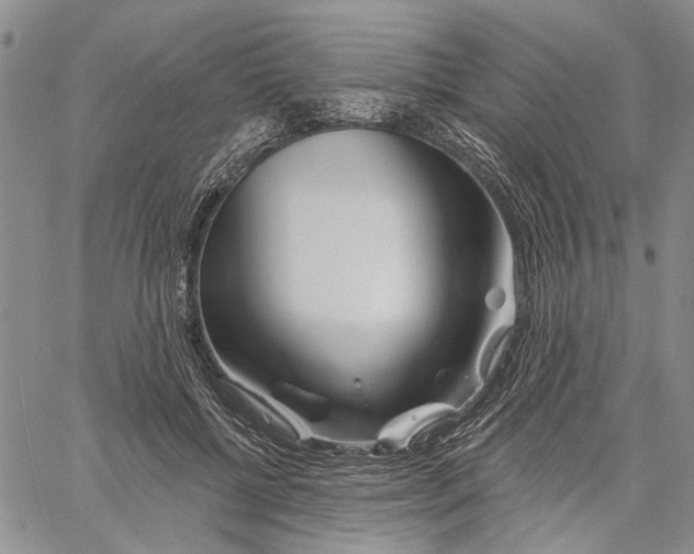 X0000060580552200512011735