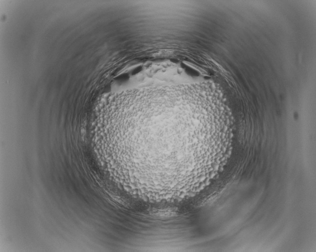 X0000060580553200512011735