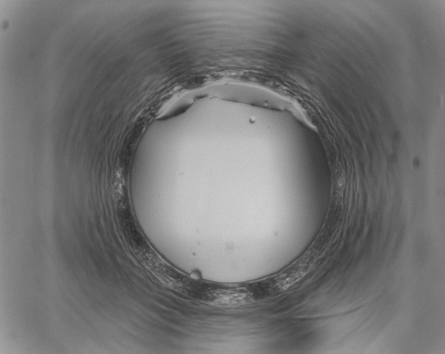 X0000060580555200512011735