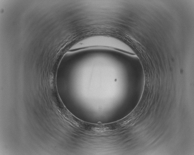 X0000060580556200512011735