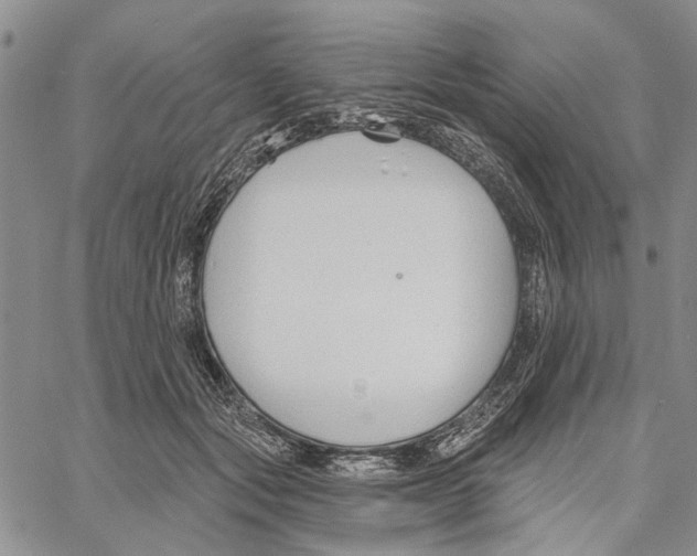 X0000060580557200512011735