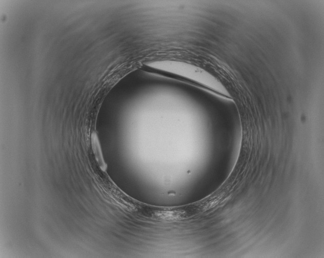 X0000060580558200512011735