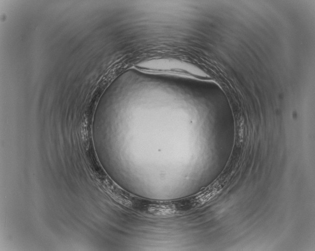 X0000060580559200512011735