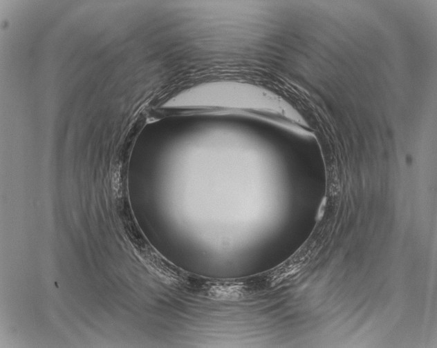 X0000060580560200512011736