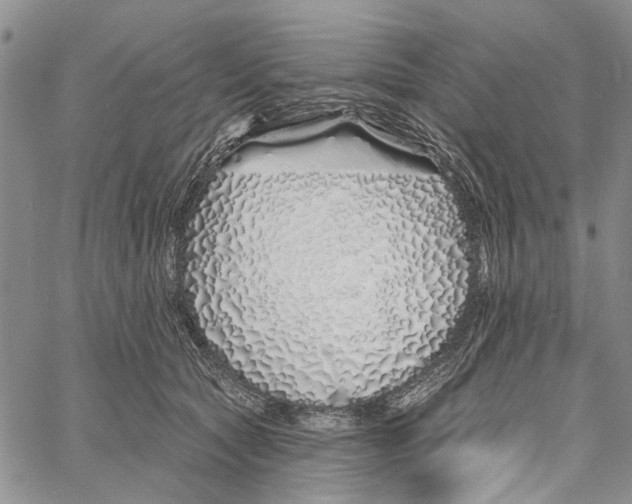 X0000060580561200512011736