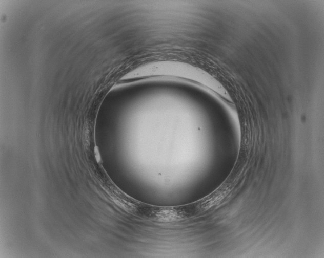 X0000060580562200512011736