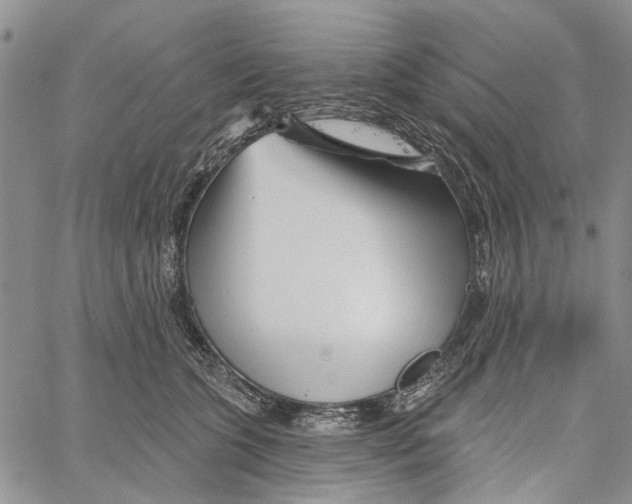 X0000060580563200512011736