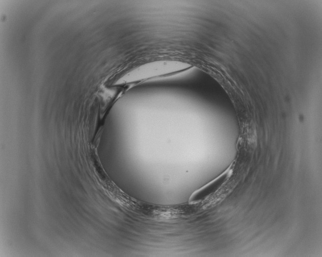 X0000060580564200512011736