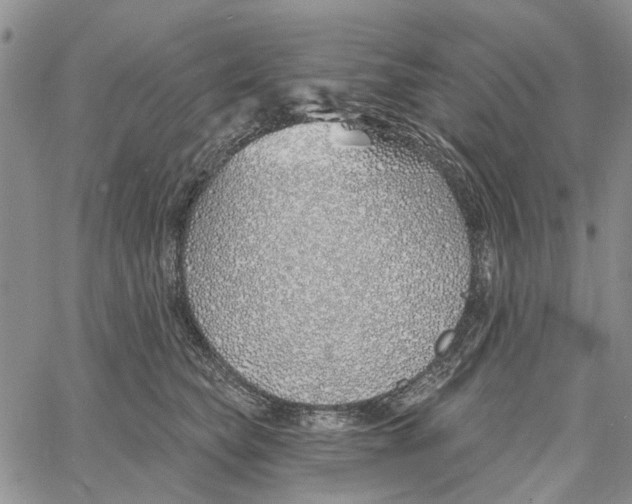 X0000060580565200512011736