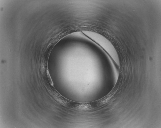 X0000060580566200512011736