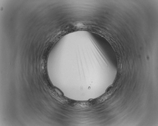 X0000060580567200512011736