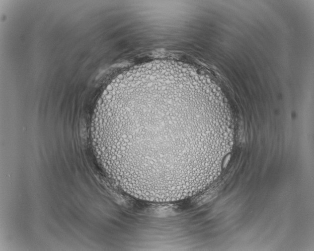 X0000060580569200512011736