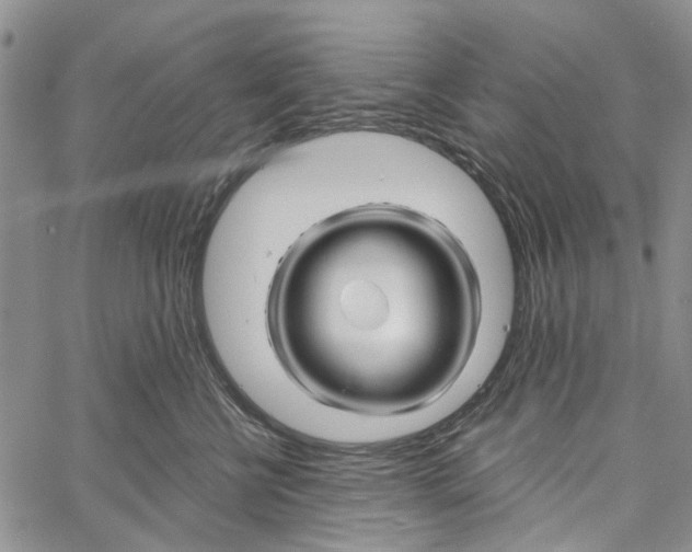 X0000060580570200512011736