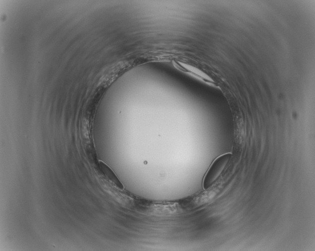 X0000060580571200512011736