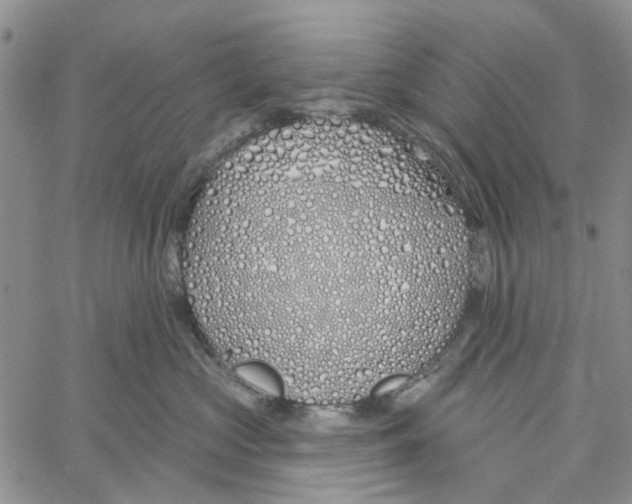 X0000060580573200512011736