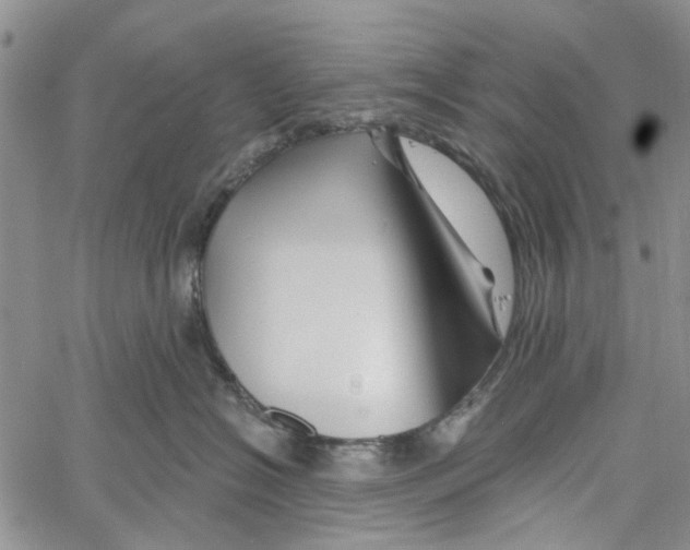 X0000060580574200512011736