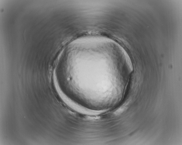 X0000060580576200512011736