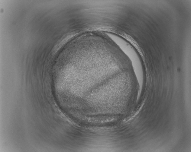 X0000060580577200512011735