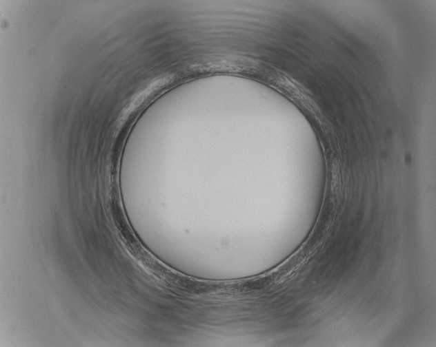 X0000060580578200512011735