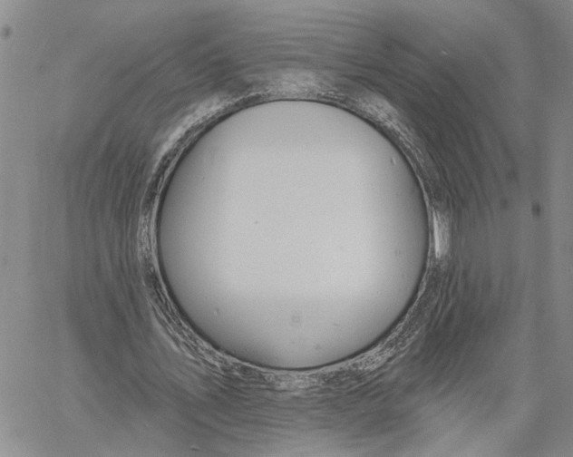 X0000060580579200512011735