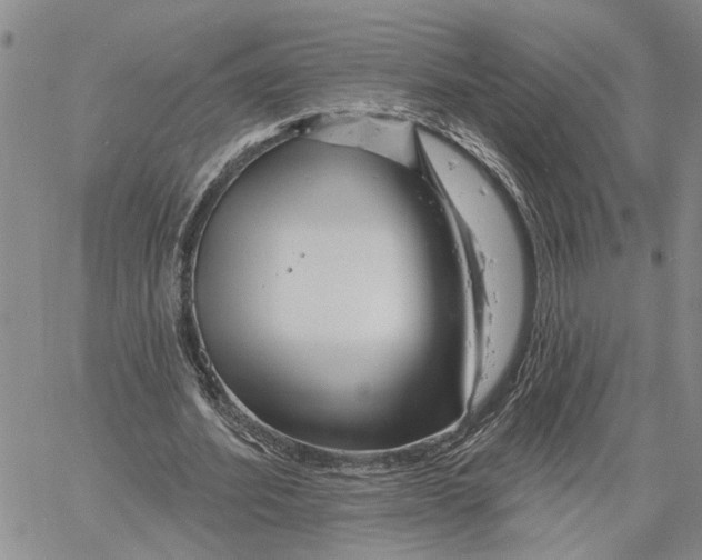 X0000060580580200512011735