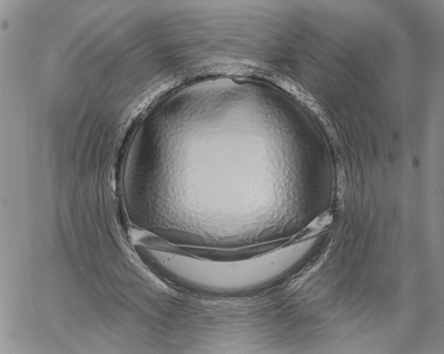 X0000060580581200512011735