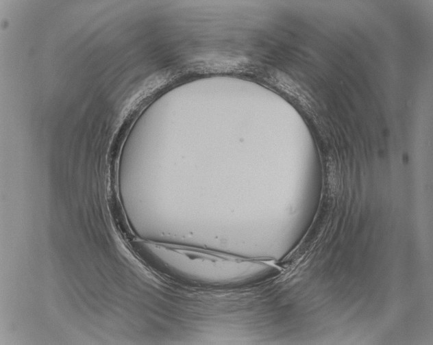 X0000060580582200512011735