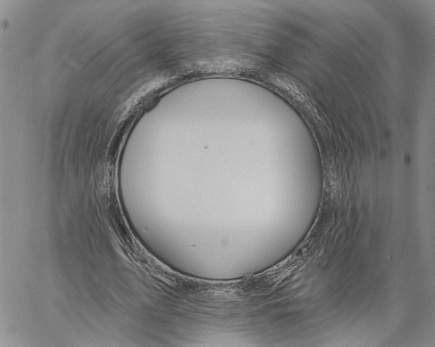 X0000060580583200512011735