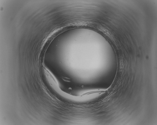 X0000060580584200512011735