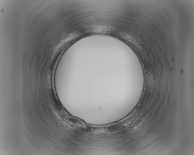 X0000060580587200512011735