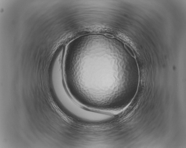 X0000060580589200512011735