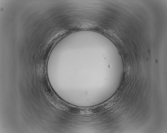 X0000060580591200512011735